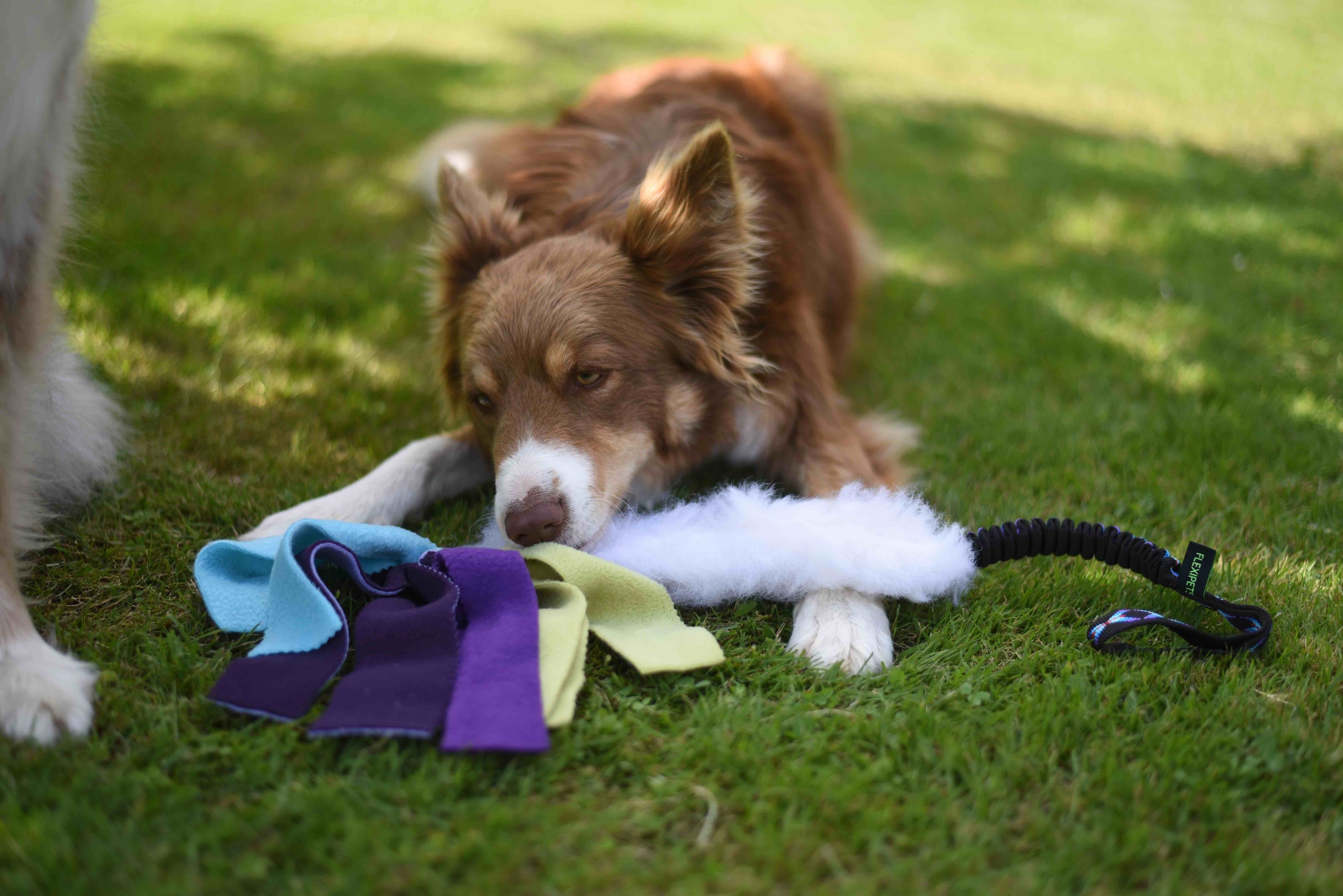 JOUET FURR, ELASTIQUE FOURRURE ET LANNIERE POLAIRE