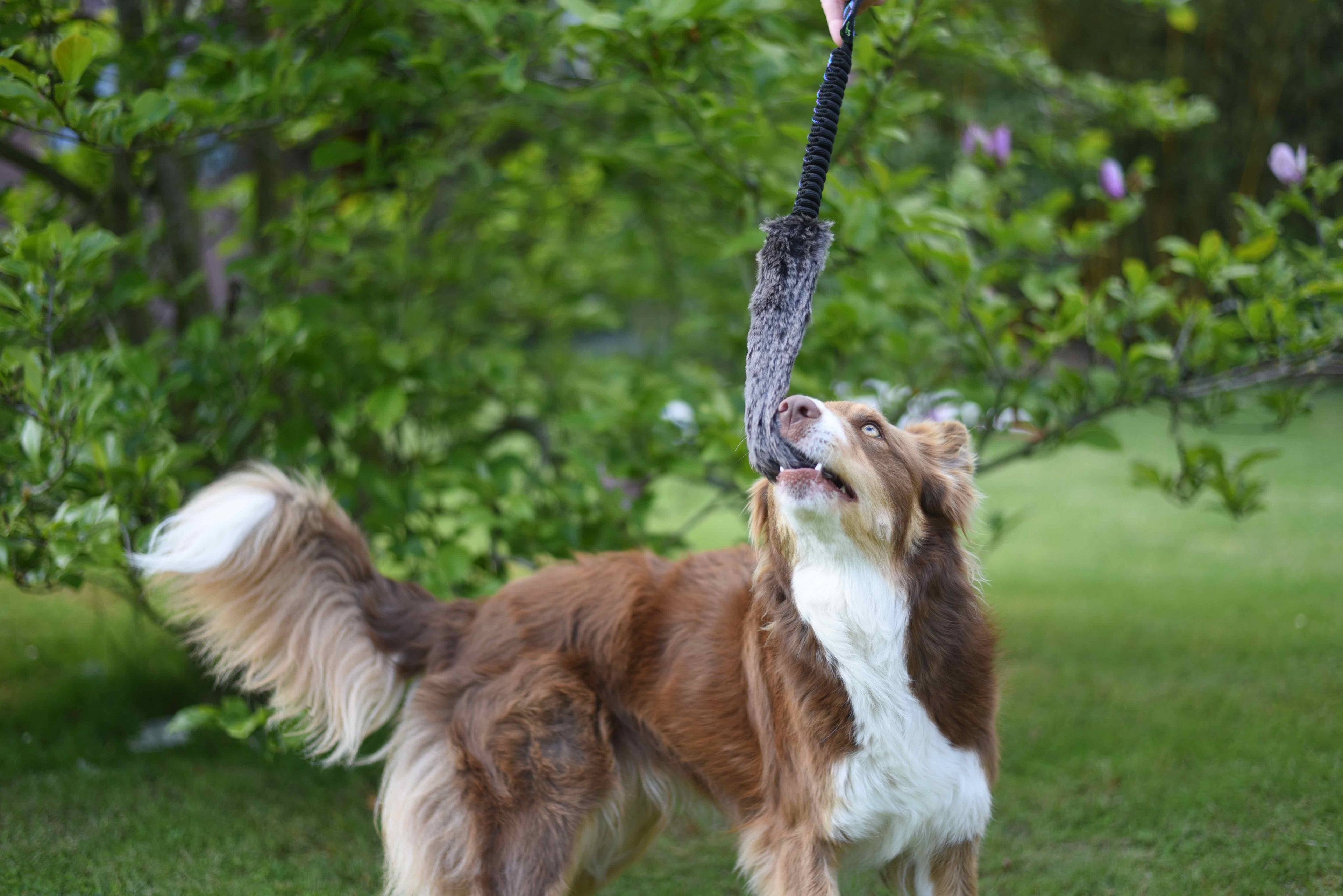 JOUET OVEJA FOURRURE ET ELASTIQUE