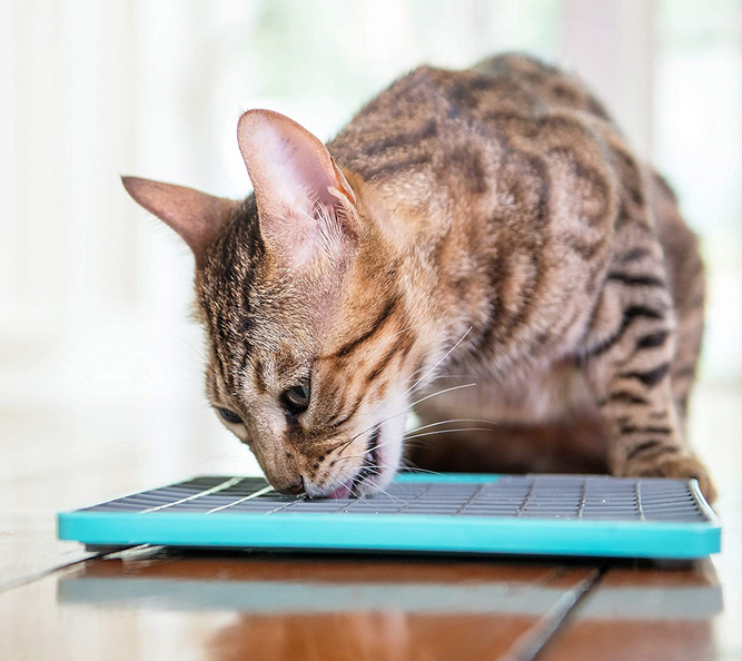 LICKIMAT PLAYDATE TUFF