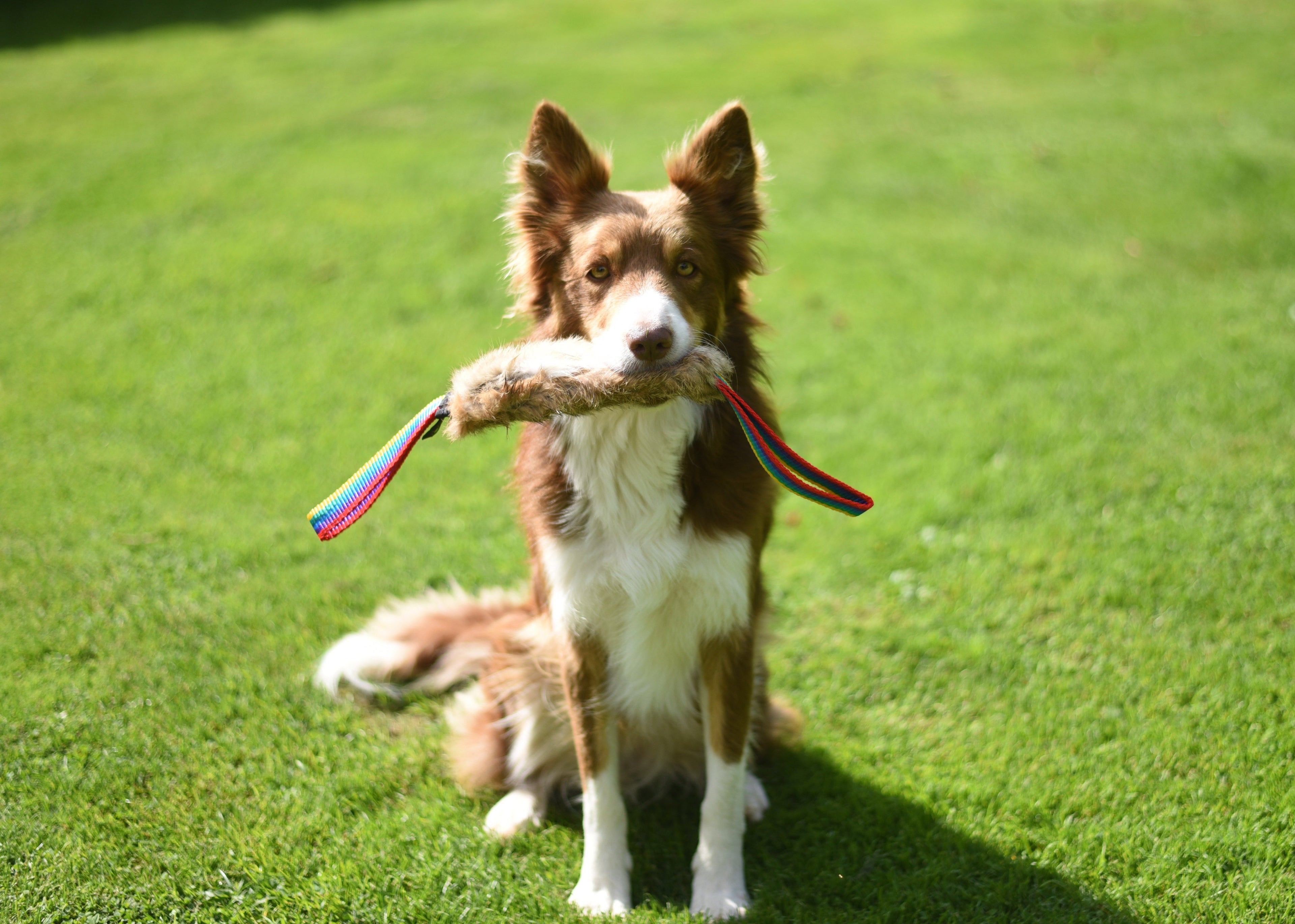 JOUET FLEXIPETS FOURRURE DE LAPIN