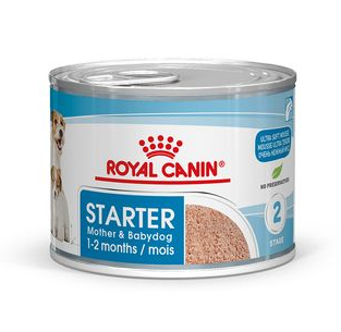 Hn Chien Motherbaby Starter