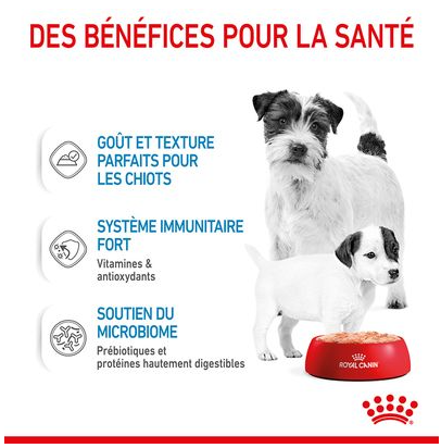 Hn Chien Motherbaby Starter