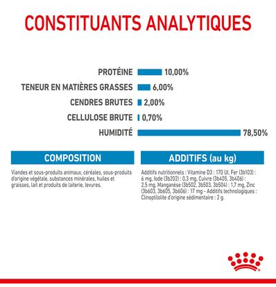 Hn Chien Motherbaby Starter