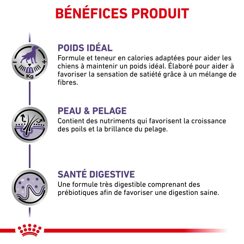 Royal Canin Ehn Chien Neutered Adulte Medium