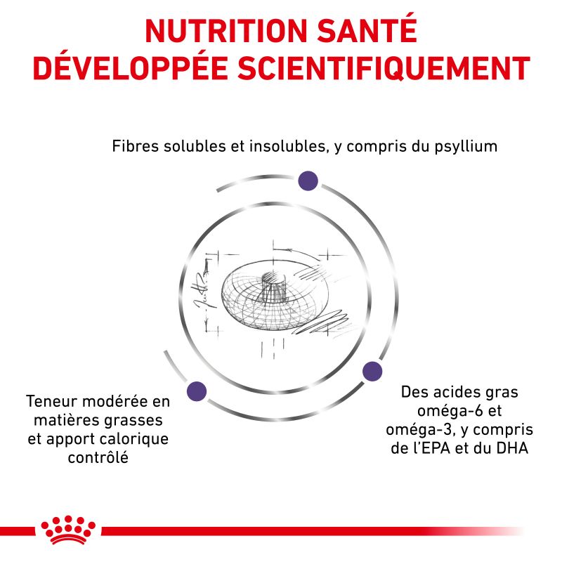 Royal Canin Ehn Chien Neutered Adulte Medium