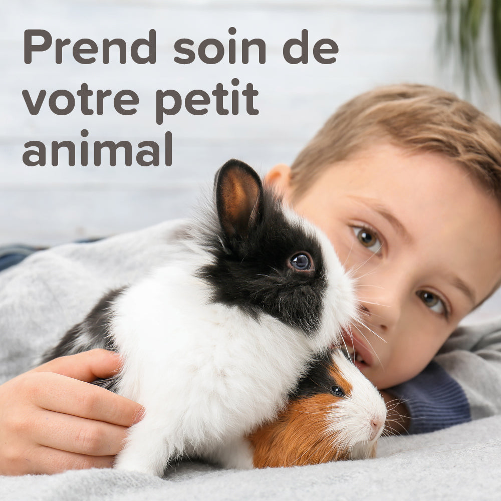 Stop aux odeurs, pour litière