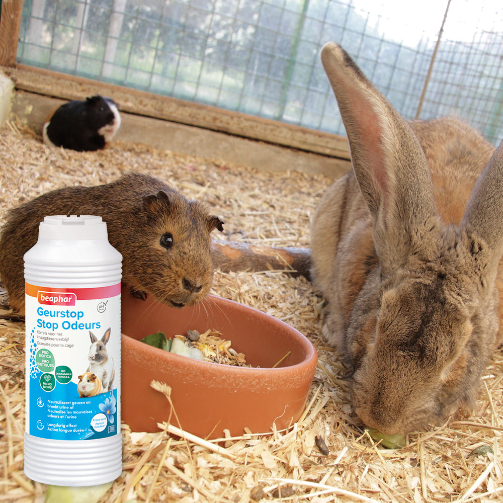 Stop aux odeurs, pour litière