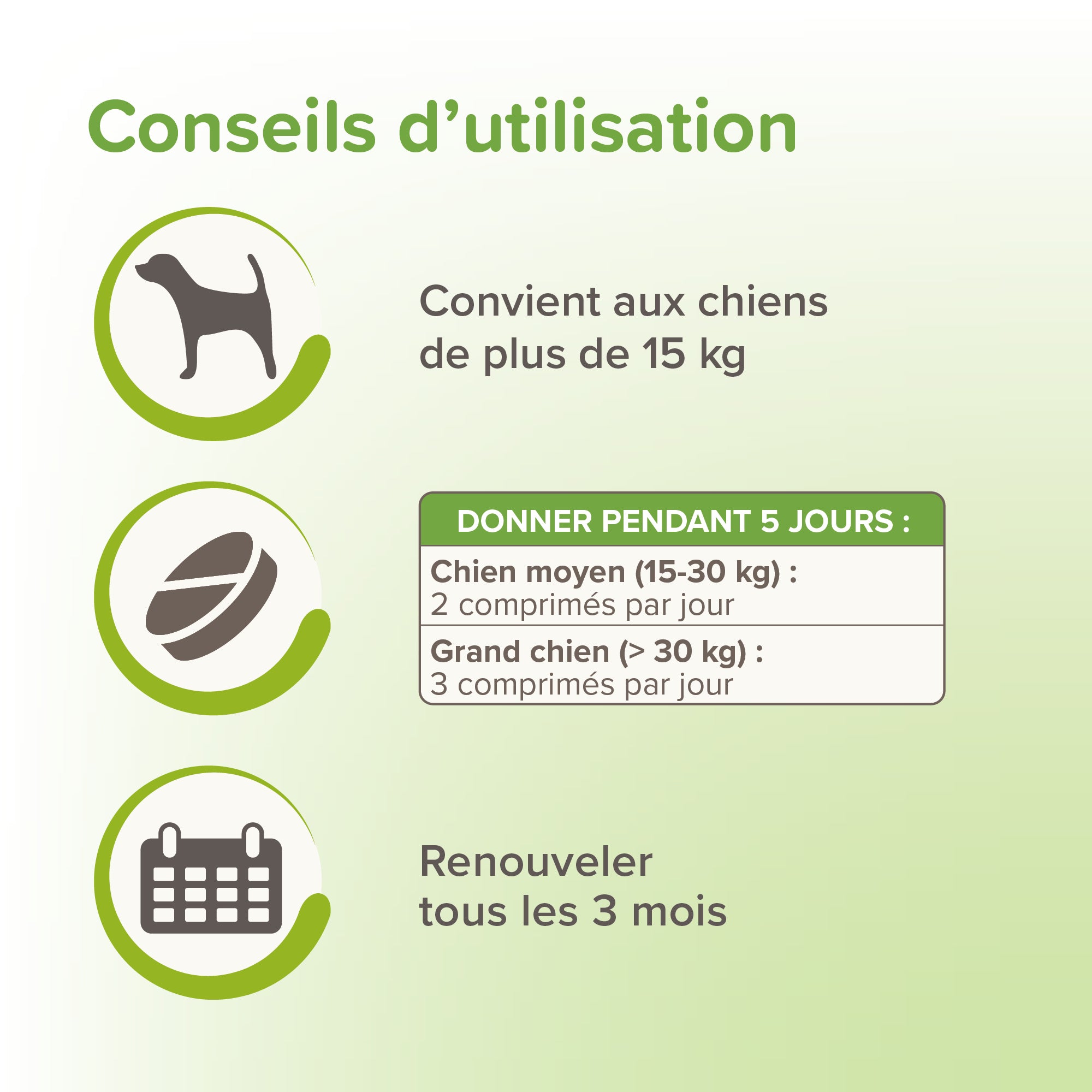Vermipure comprimés Purge - Grand chien