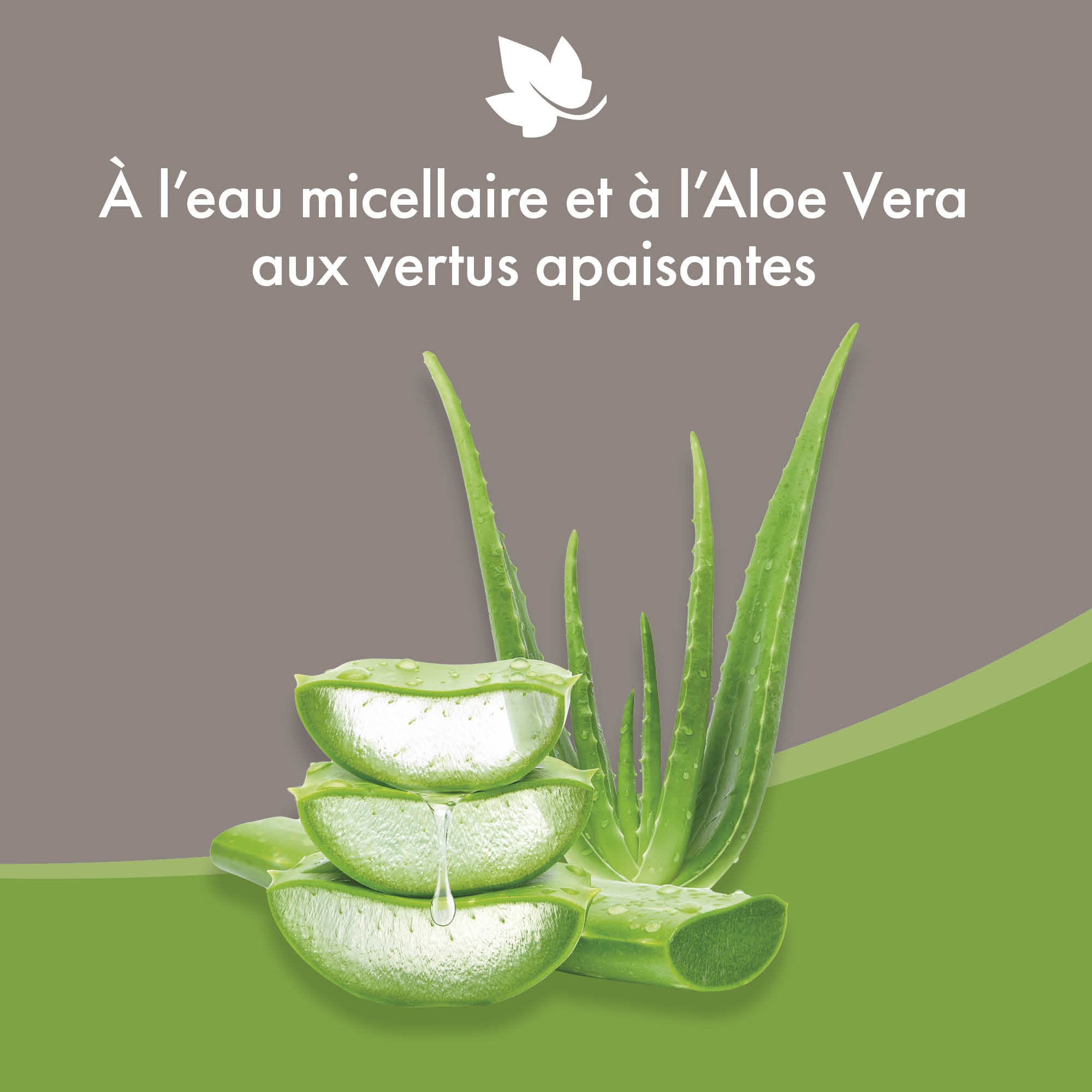 Lingettes nettoyantes à l&