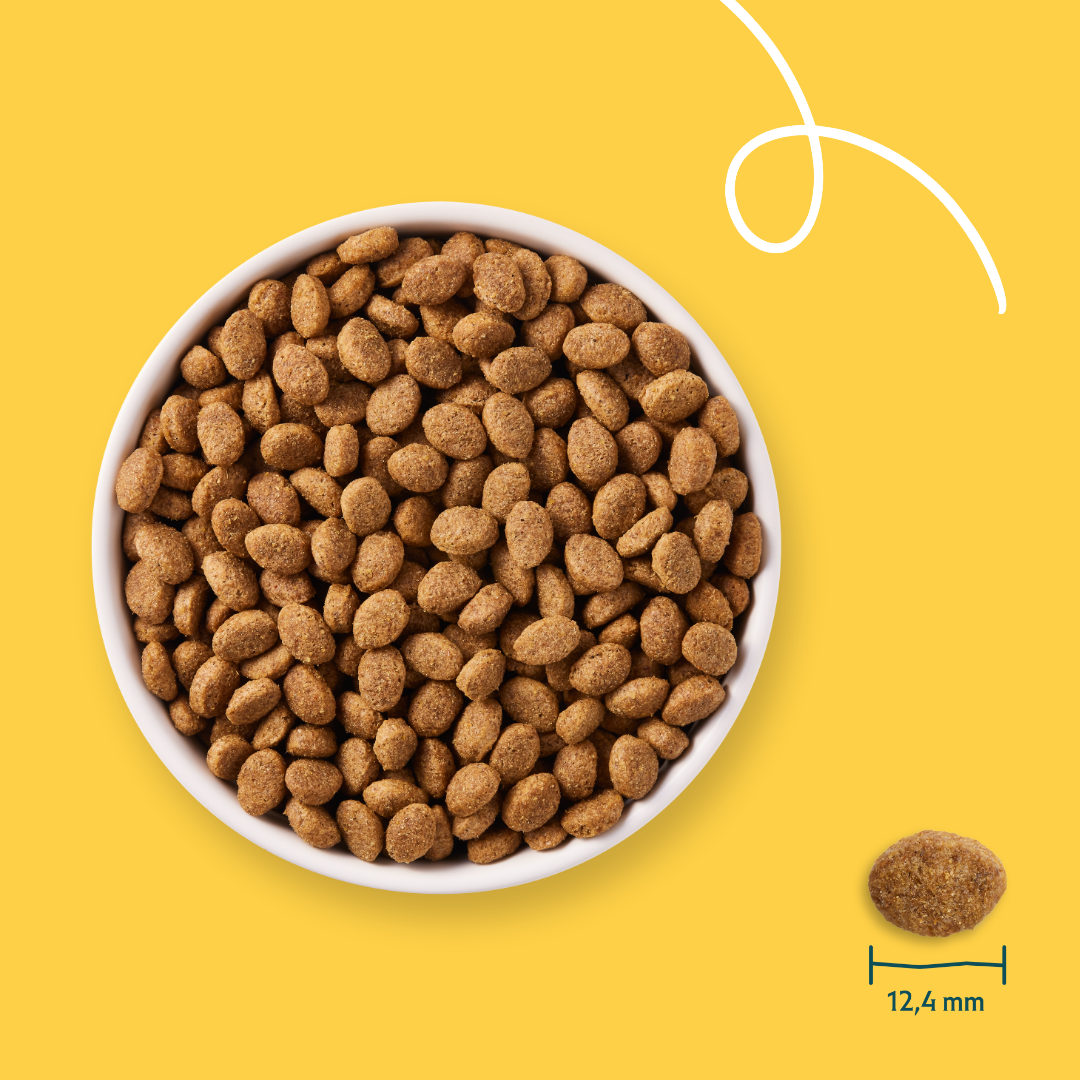 Yarrah croquettes bio pour chien senior