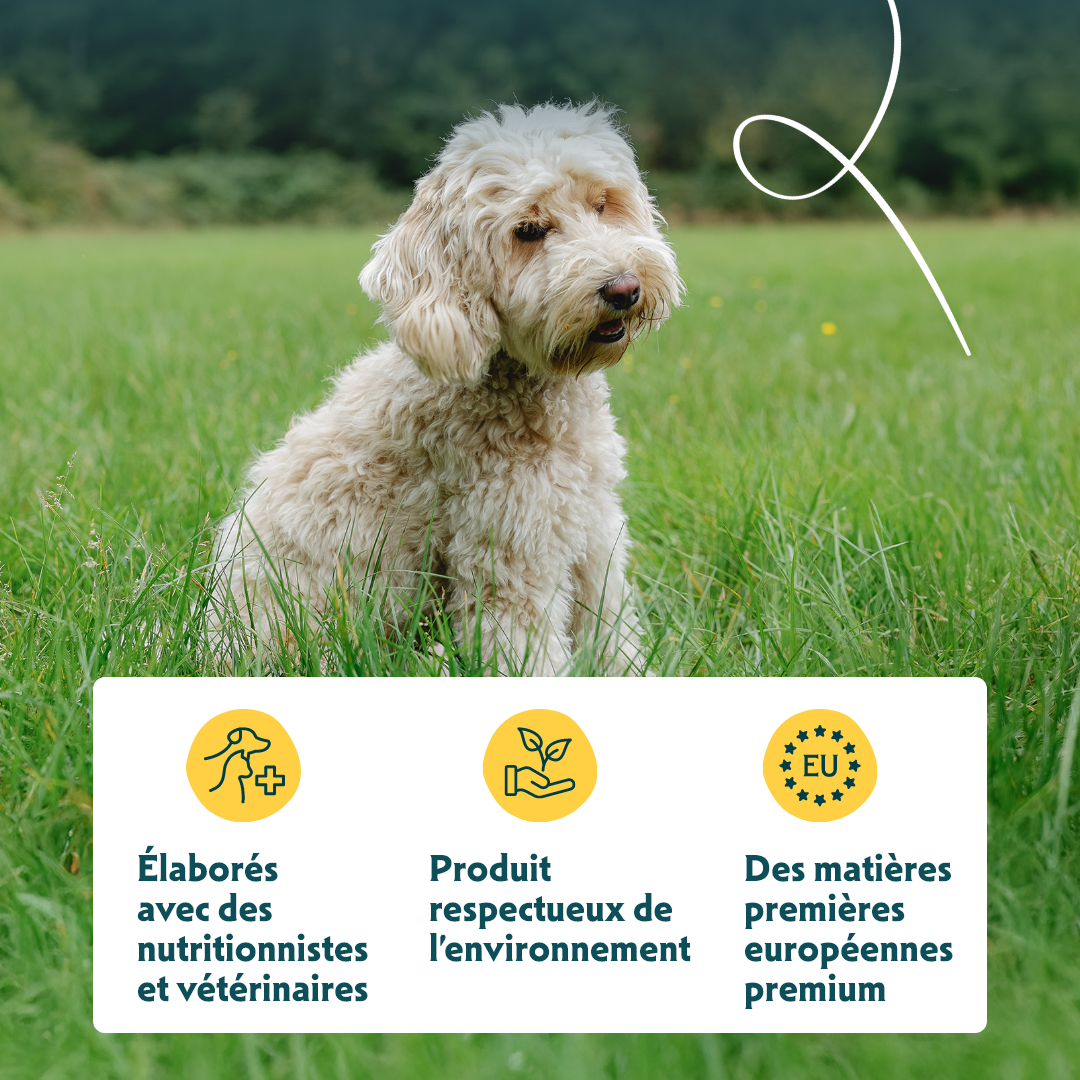 Yarrah croquettes bio sans céréales pour chien adulte