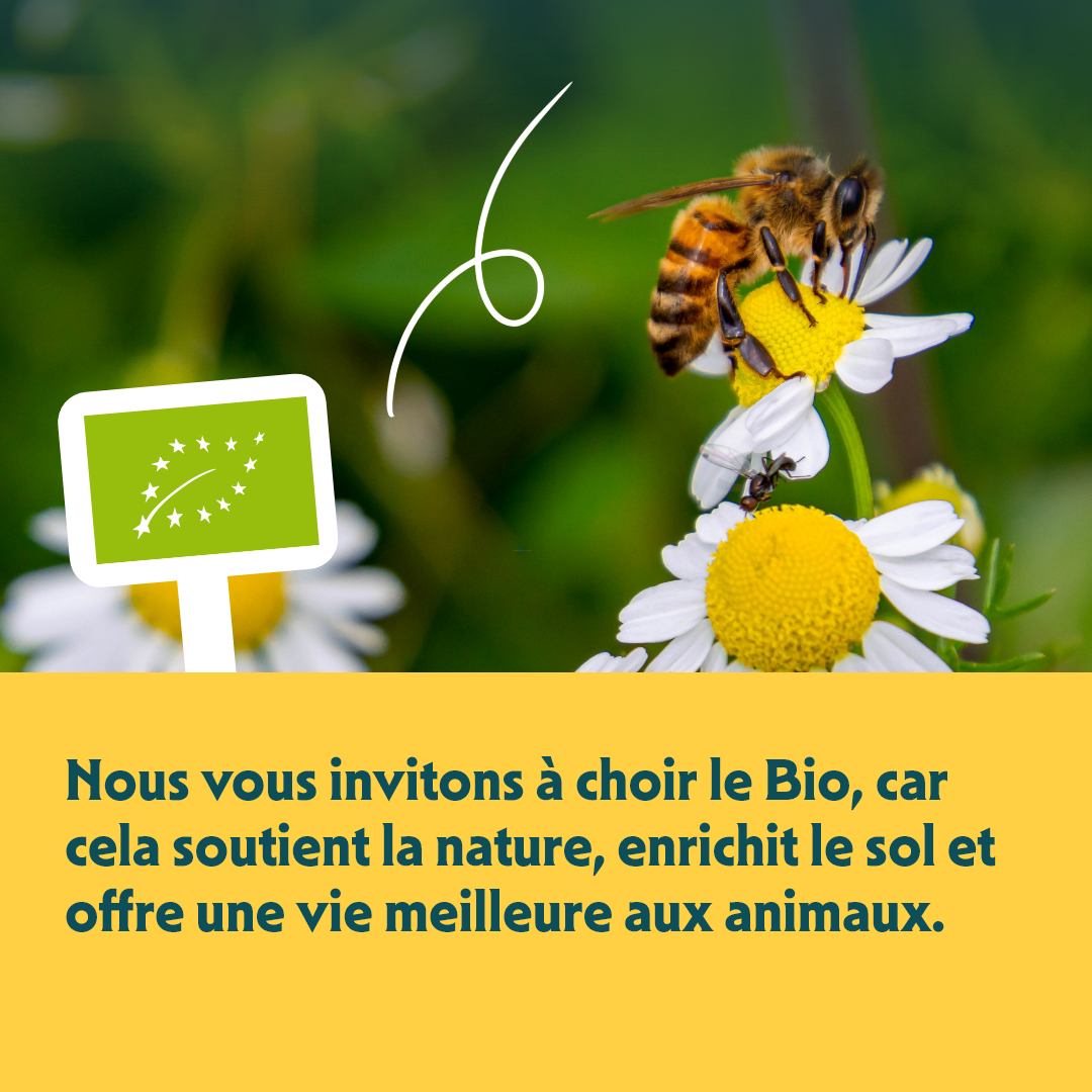 Yarrah croquettes bio pour chiot