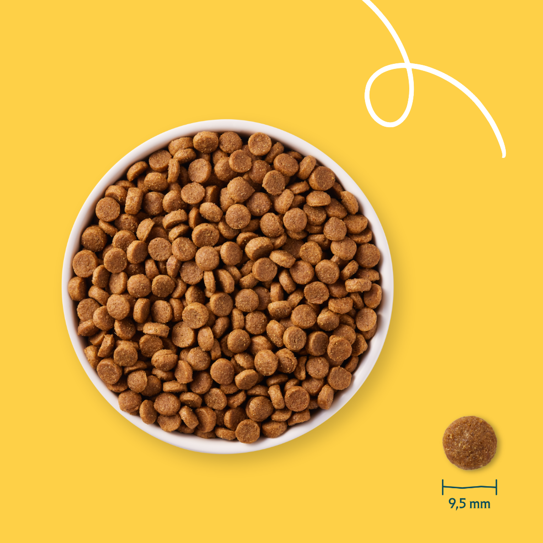 Yarrah croquettes bio pour chien de petite race