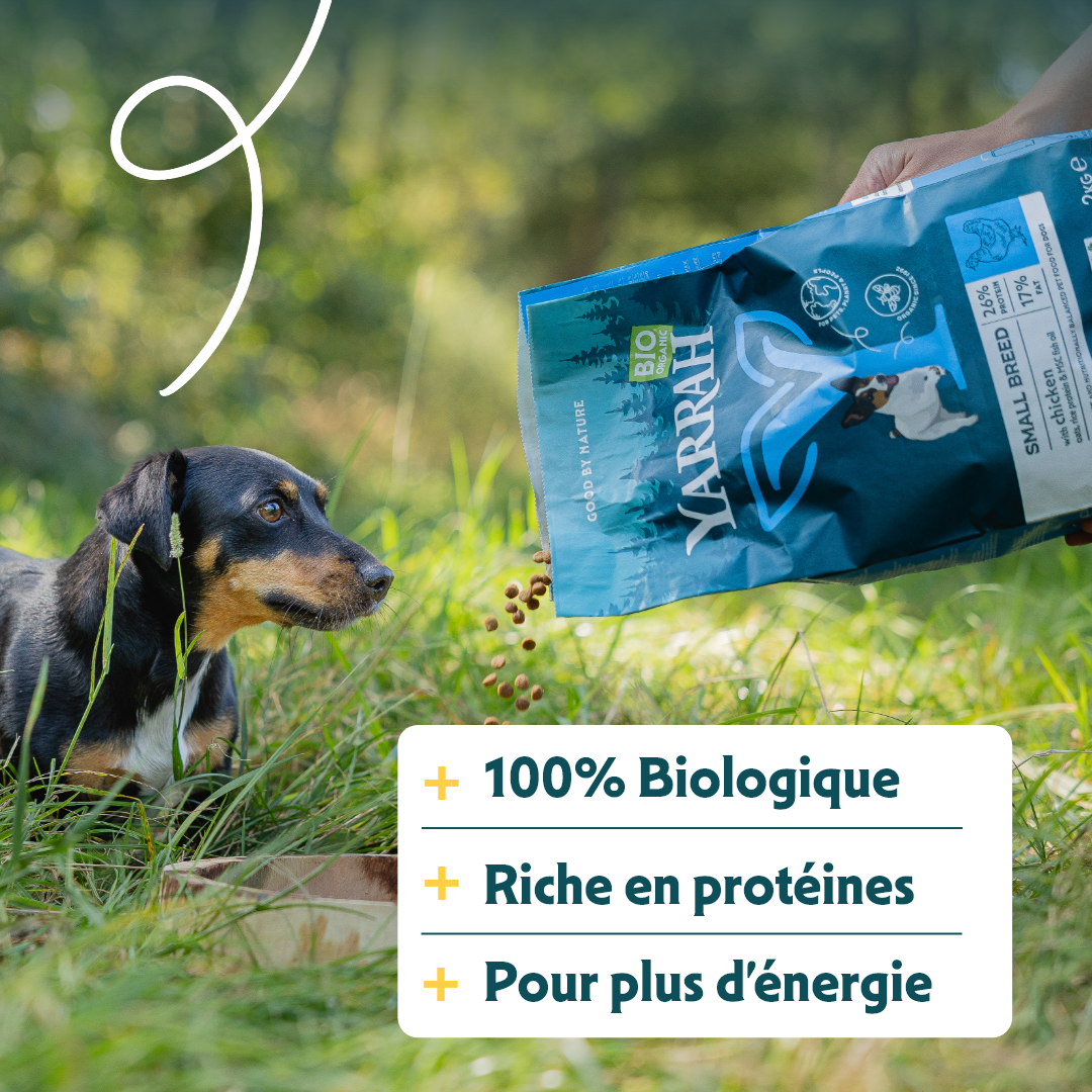 Yarrah croquettes bio pour chien de petite race