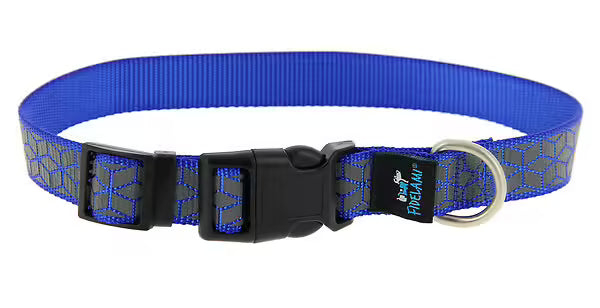 Collier réfléchissant bleu chien