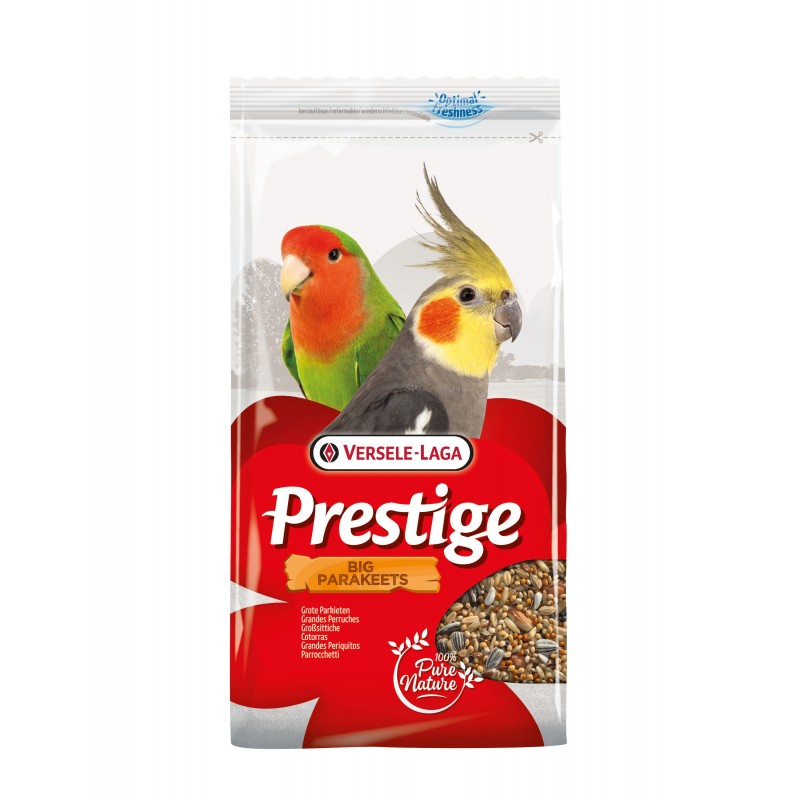 Grande Perruche Prestige Graines