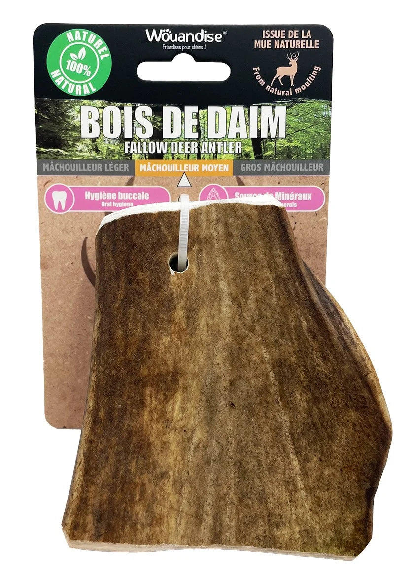 Wouapy - Bois de daim - Chien