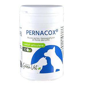 Pernacox Chat & Chien