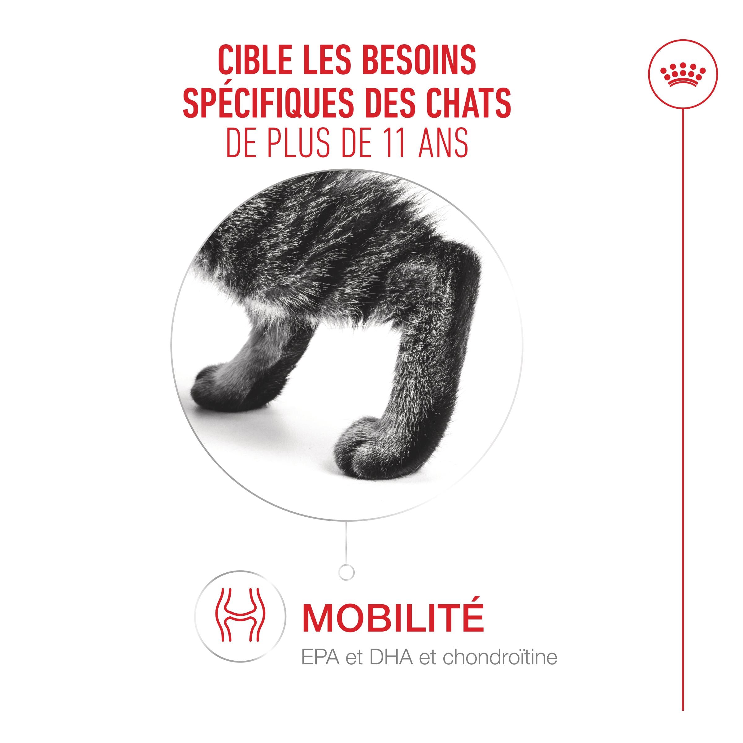 Royal Canin Ageing 11+ - Croquettes pour chat