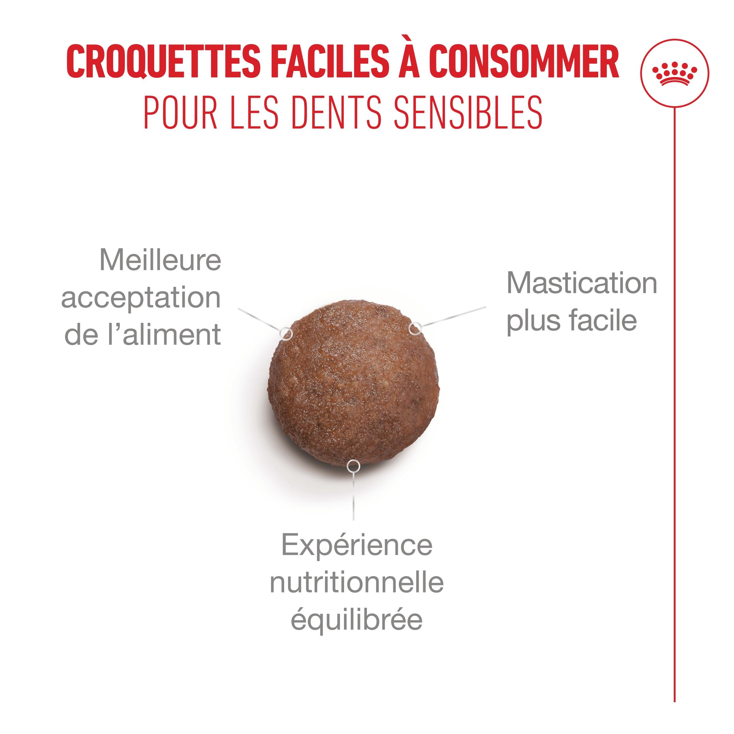 Royal Canin Ageing 11+ - Croquettes pour chat
