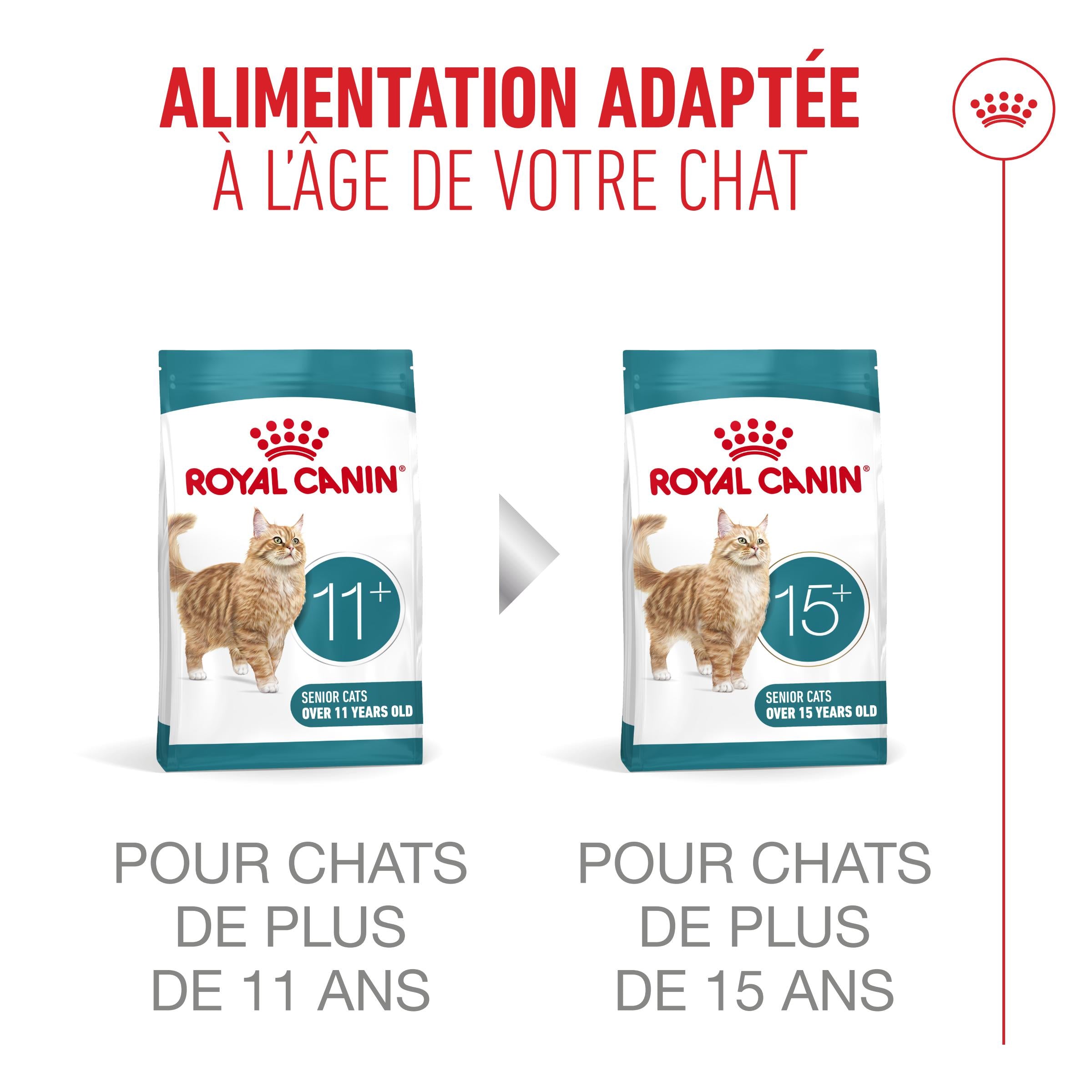 Royal Canin Ageing 11+ - Croquettes pour chat
