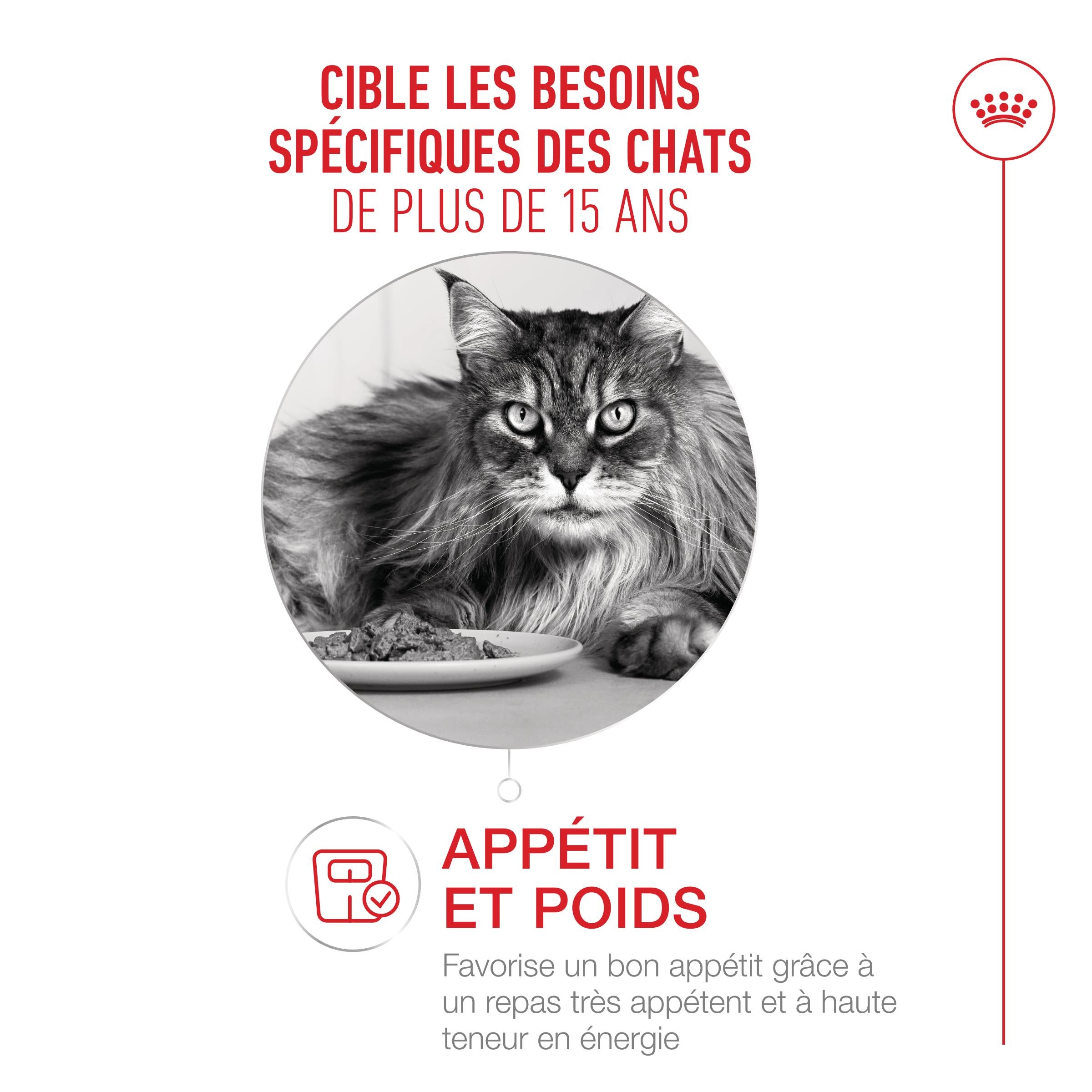 Royal Canin Ageing 15+ - Croquettes pour chat