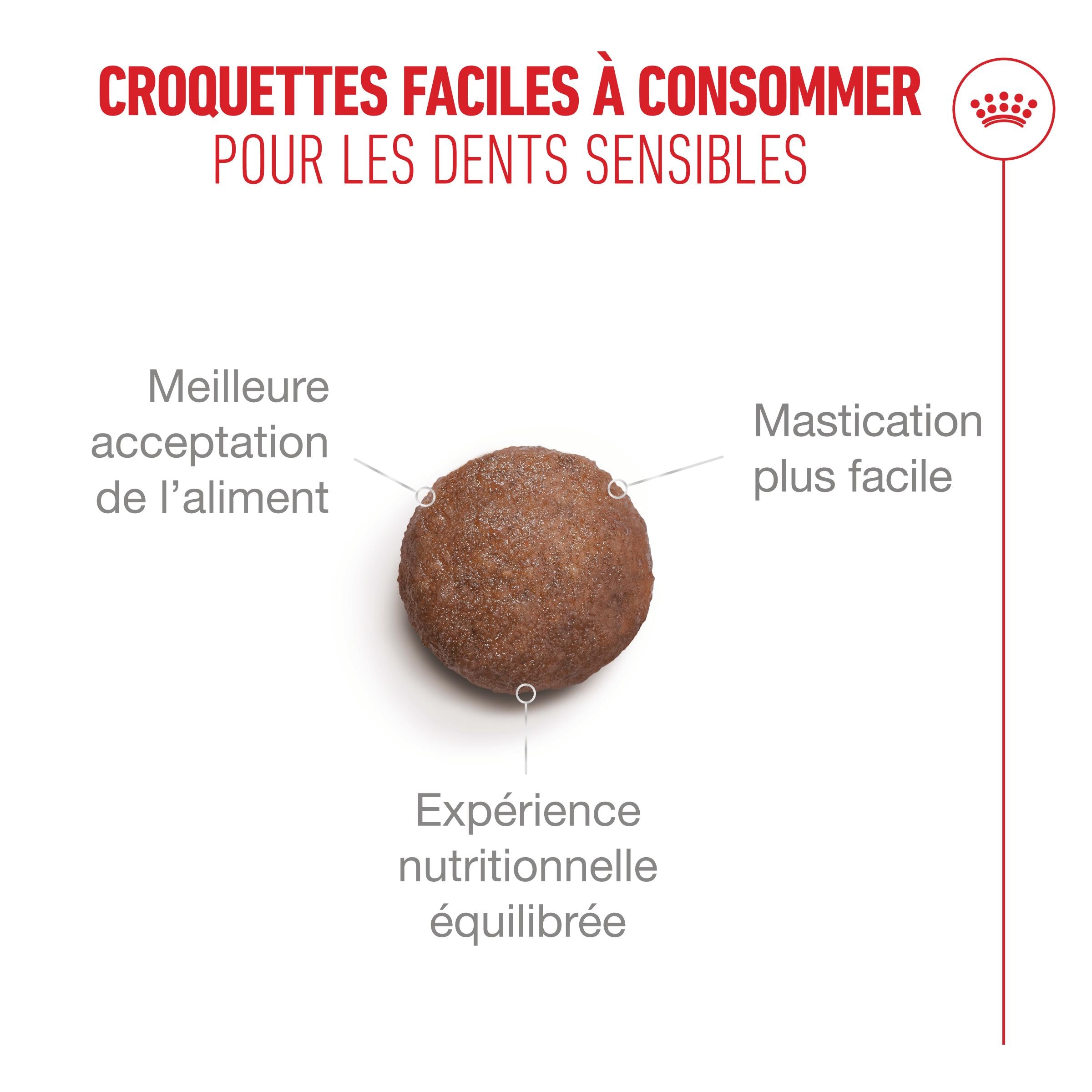 Royal Canin Ageing 15+ - Croquettes pour chat