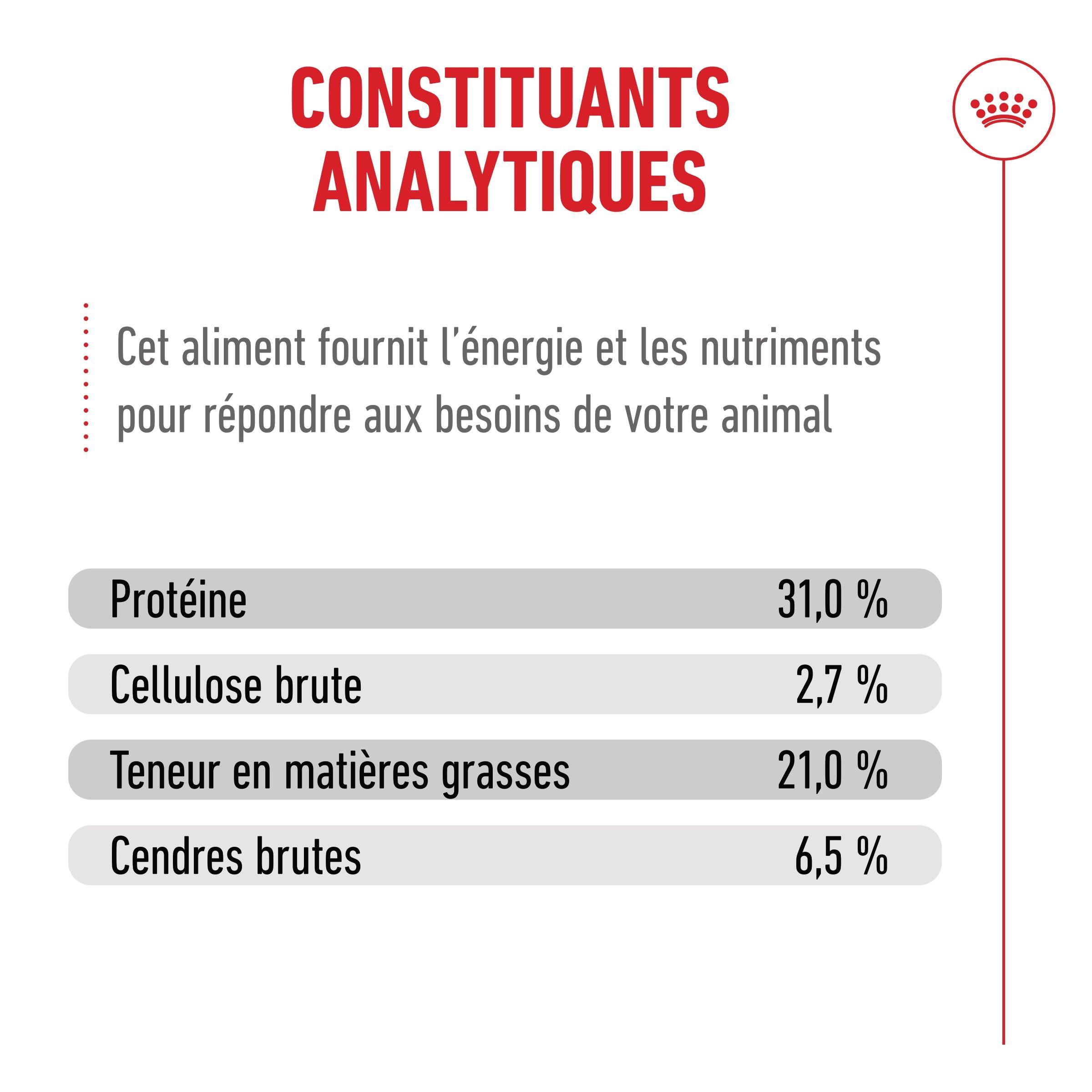 Royal Canin Ageing 15+ - Croquettes pour chat