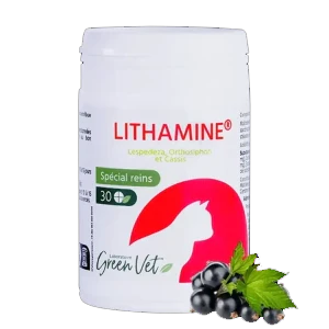 Lithamine Chat