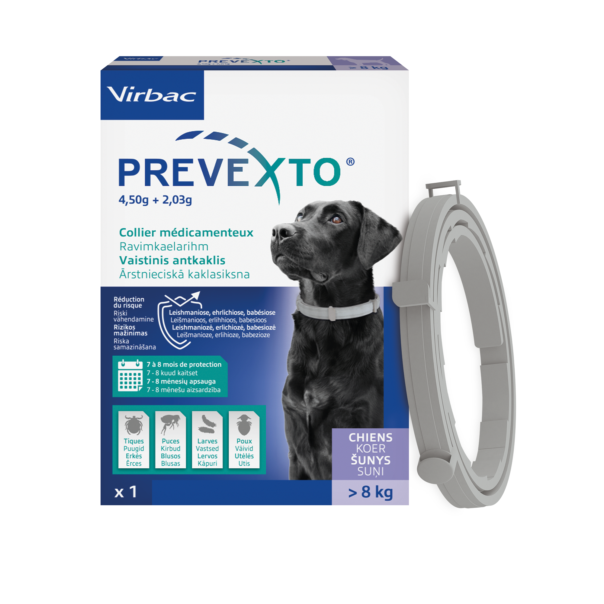 PREVEXTO collier pour chien
