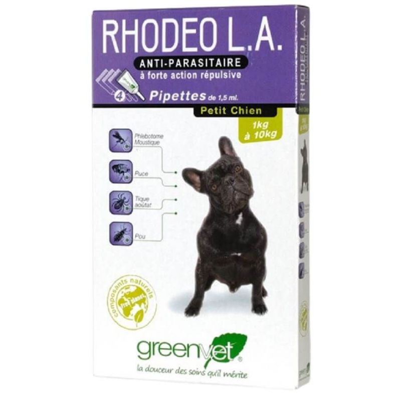Rhodeo l.a Chien
