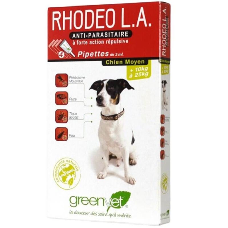 Rhodeo l.a Chien