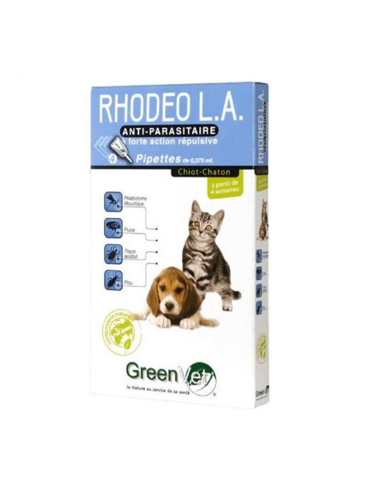 Rhodeo l.a Chiot Chaton