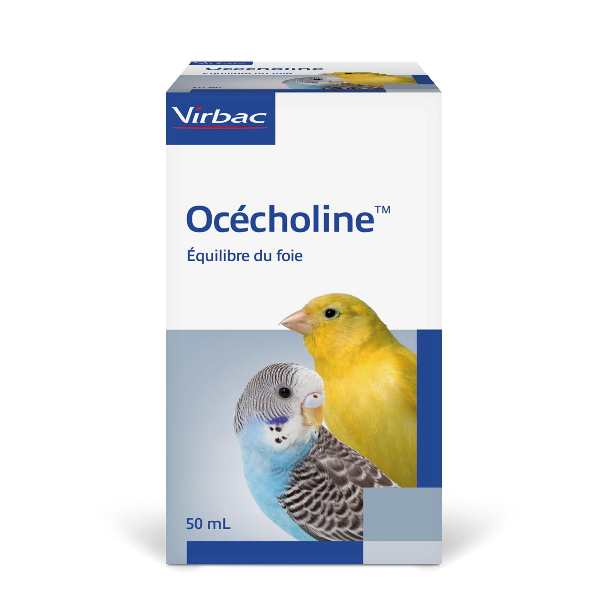 Ocecholine