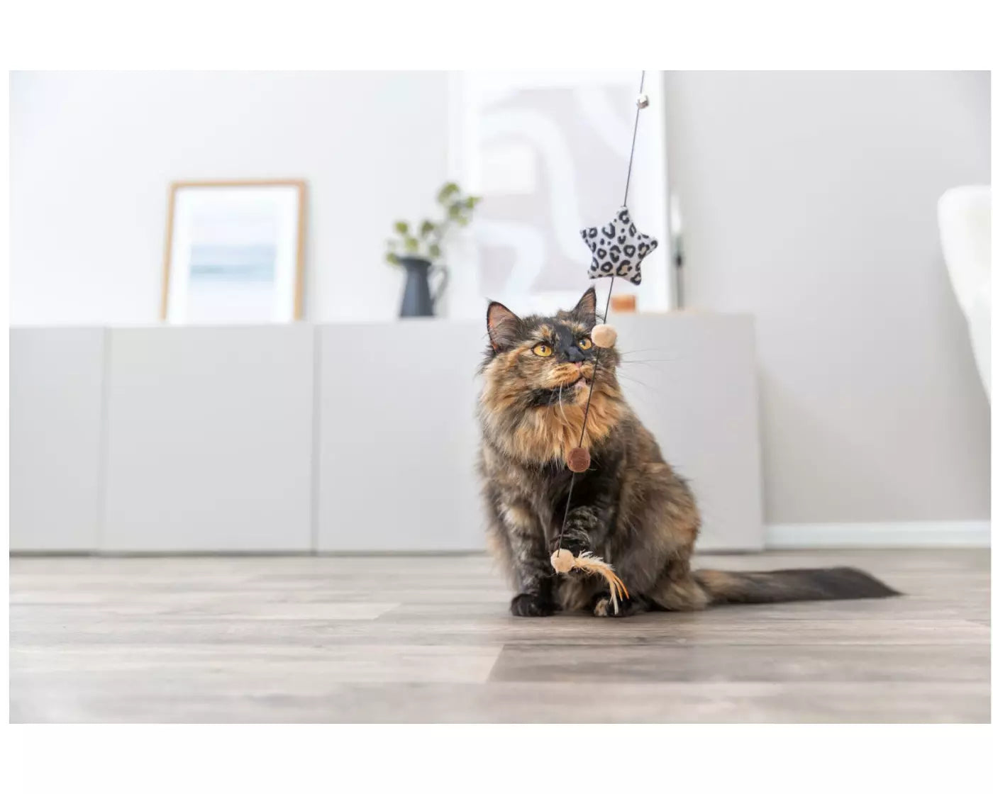 Canne à pêche Etoile Leo chat