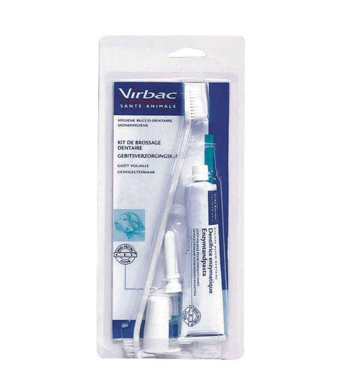 Kit dentaire Chien