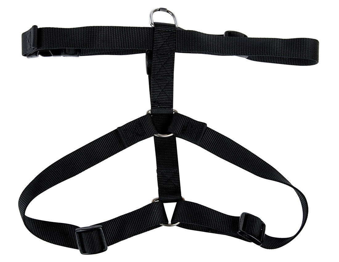 Harnais Uni Noir zolux