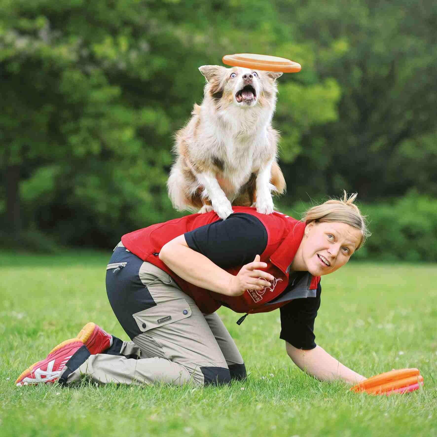 FRISBEE DOG DISC