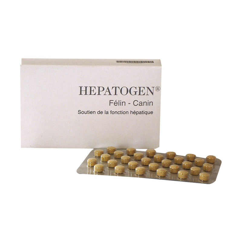 Hépatogen Chien Chat