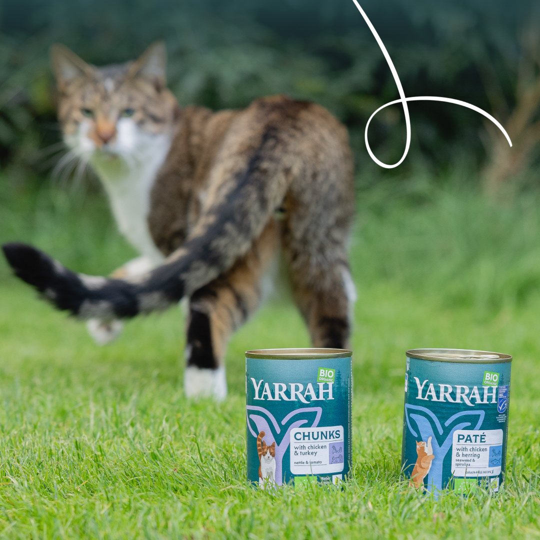 Yarrah bouchées bio - Lot 12 x 405g