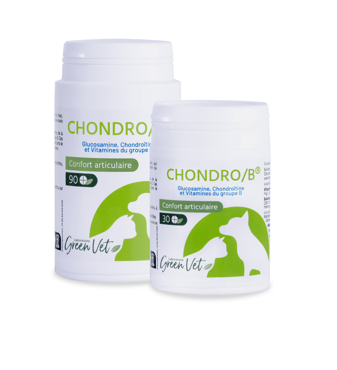 Chondro B Chat & Chien