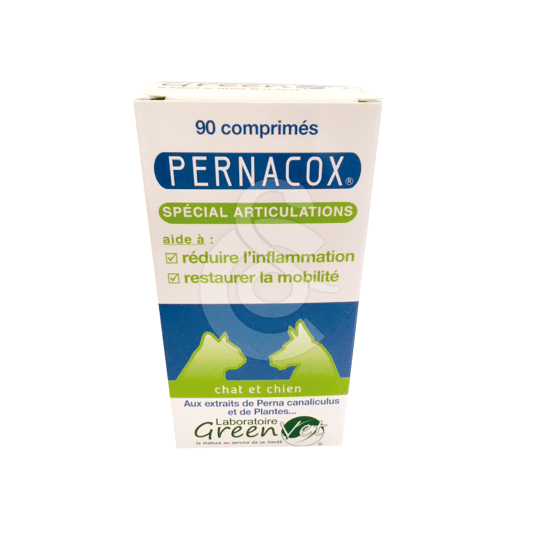 Pernacox Chat & Chien