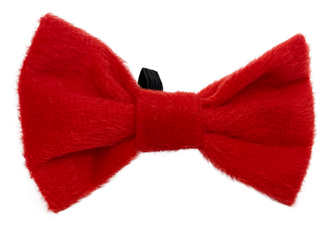 Noeud rouge de Noel pour chien et chat