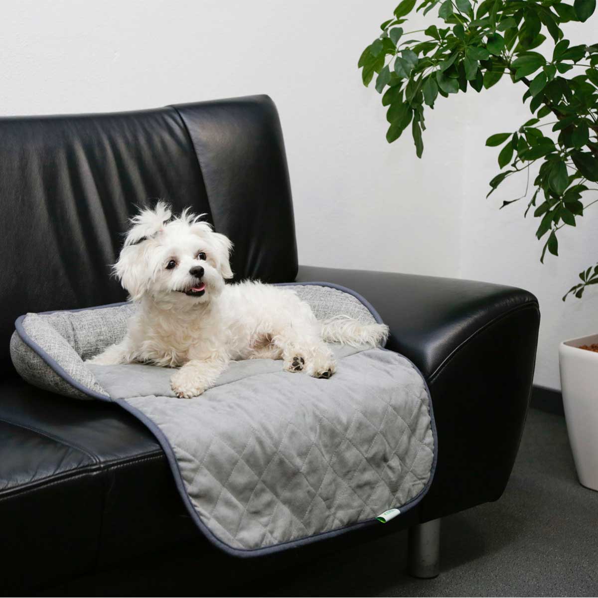 Corbeille Emalia Protection Canapé