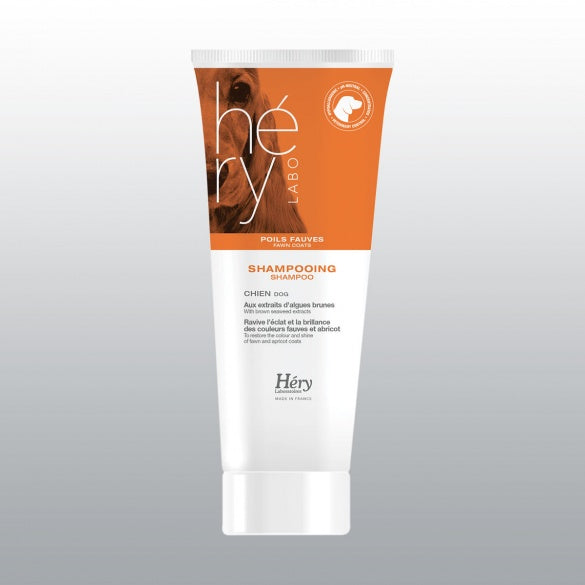 Shampoing chien héri poil fauves