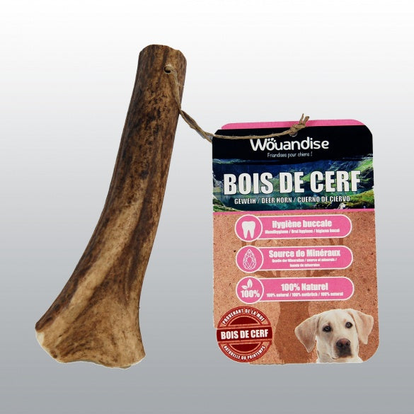 Bois de Cerf - Chien