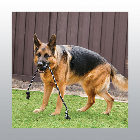 Jouet Kong Extrême Ball avec cordre