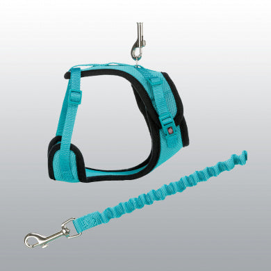 Harnais Y avec laisse anti-secousses pour chat