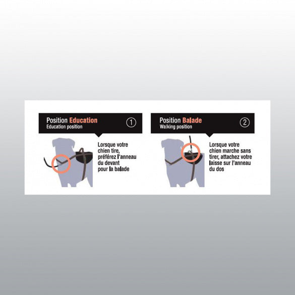 Harnais anti-traction Chien Hopstop Arka