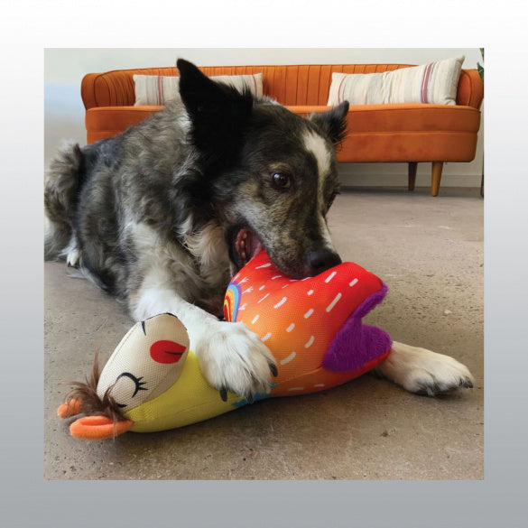 Jouet Kong Ballistic Llamas